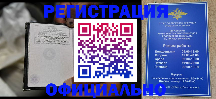 где прописаться в Жердевке